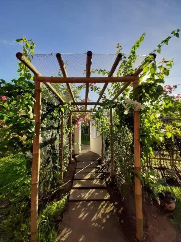 Dreamink Farm Og Myl'S Place Sorsogon Экстерьер фото